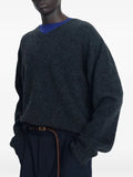 TONYWACK Shaggy Dog V-neck sweater